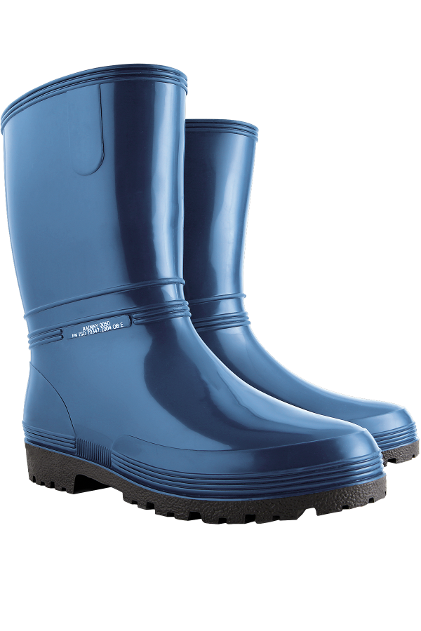 Guminiai batai RAINNY BLUE